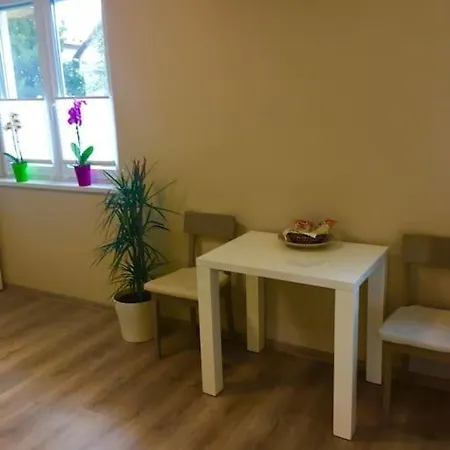 아파트 Cosy Paul With Great Location 류블랴나